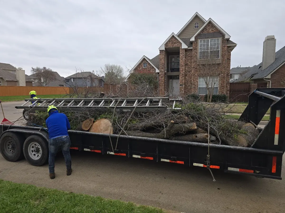 Expert Lot Clearing with proper safety equipment in Ben Wheeler